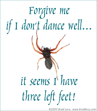 Spider missing one left leg, asking forgiveness for not dancing well since it has three left feet