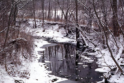 Reflections in winter stream, bordered by snow-covered, tree-lined banks
